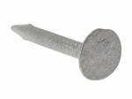 Clout Nails Galvanised (Extra Large Head)