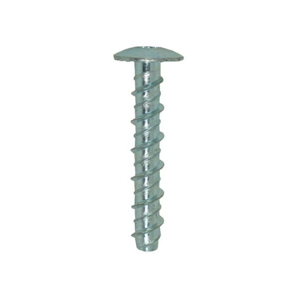 Pan Head Ankerbolt (Bright Zinc Plated)   06/08mm x  100mm (6mm Drill)